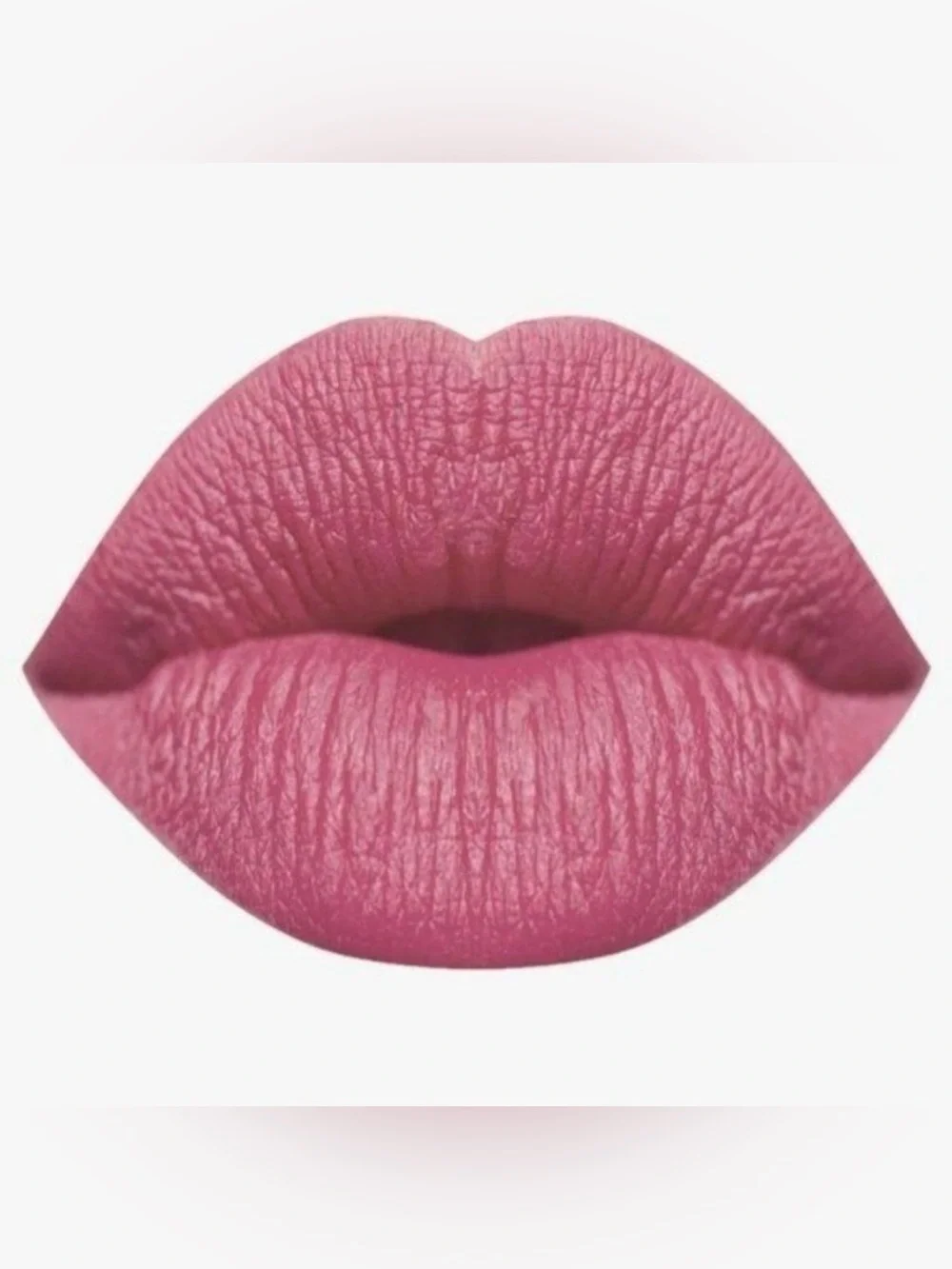 Karity color primrose